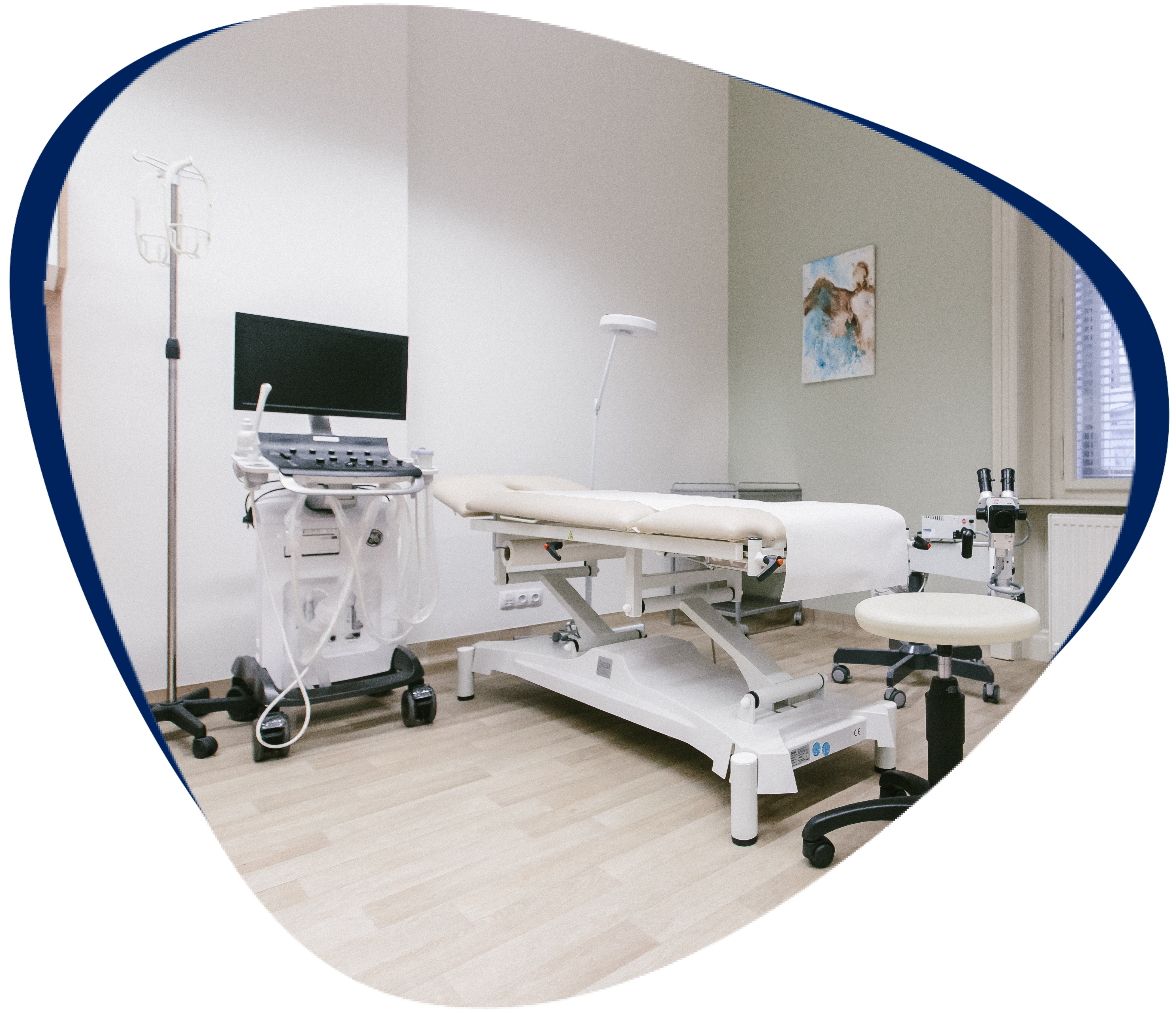 Sonography Prague (ultrasound) - sonographic examination