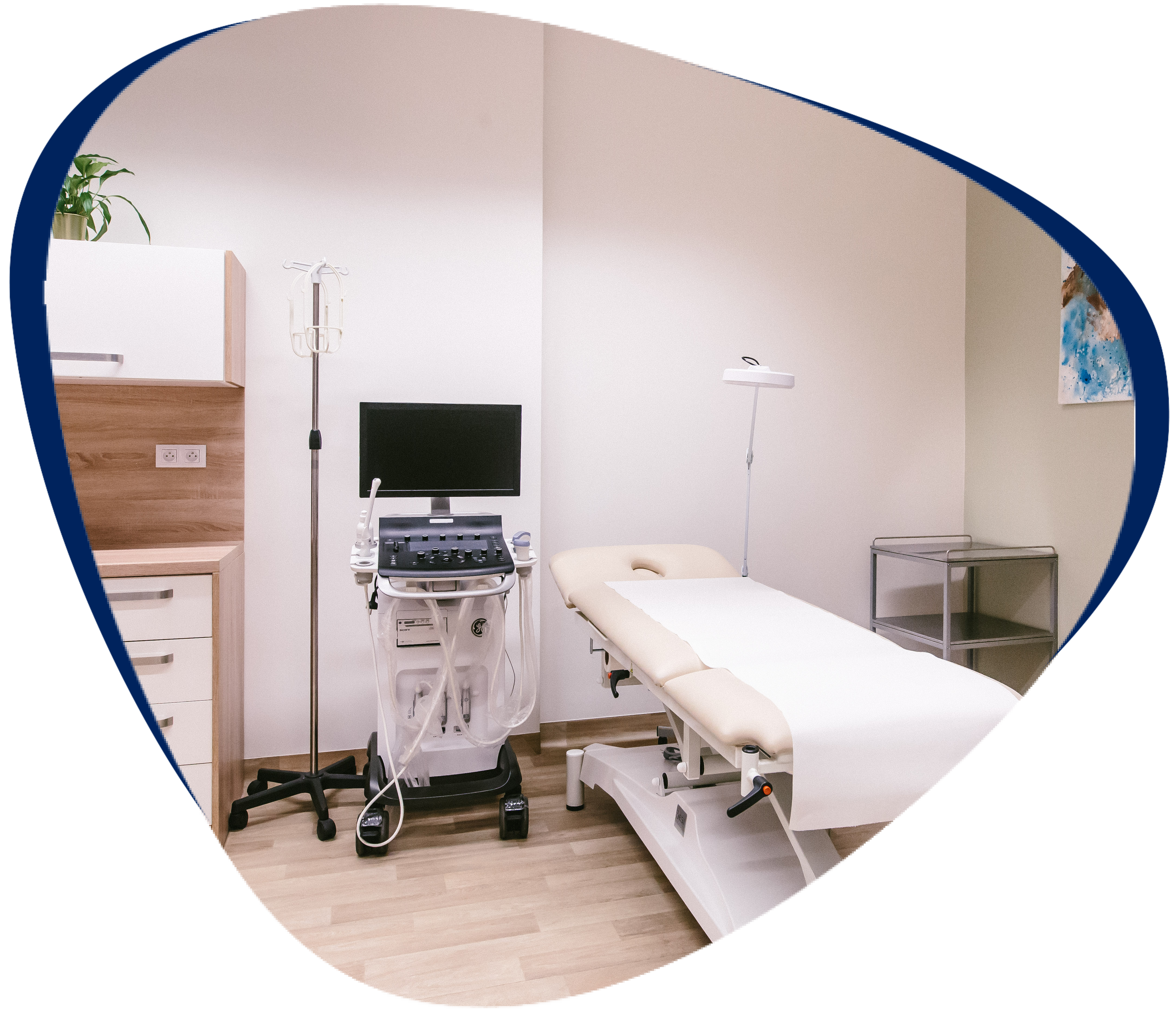 Gastroenterology (Prague)