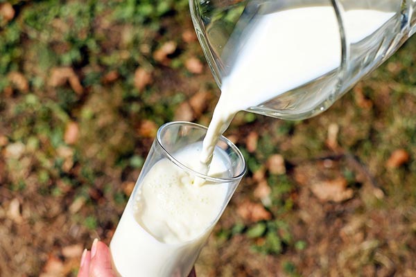 Myths associated with the consumption of milk and dairy products - Fotka