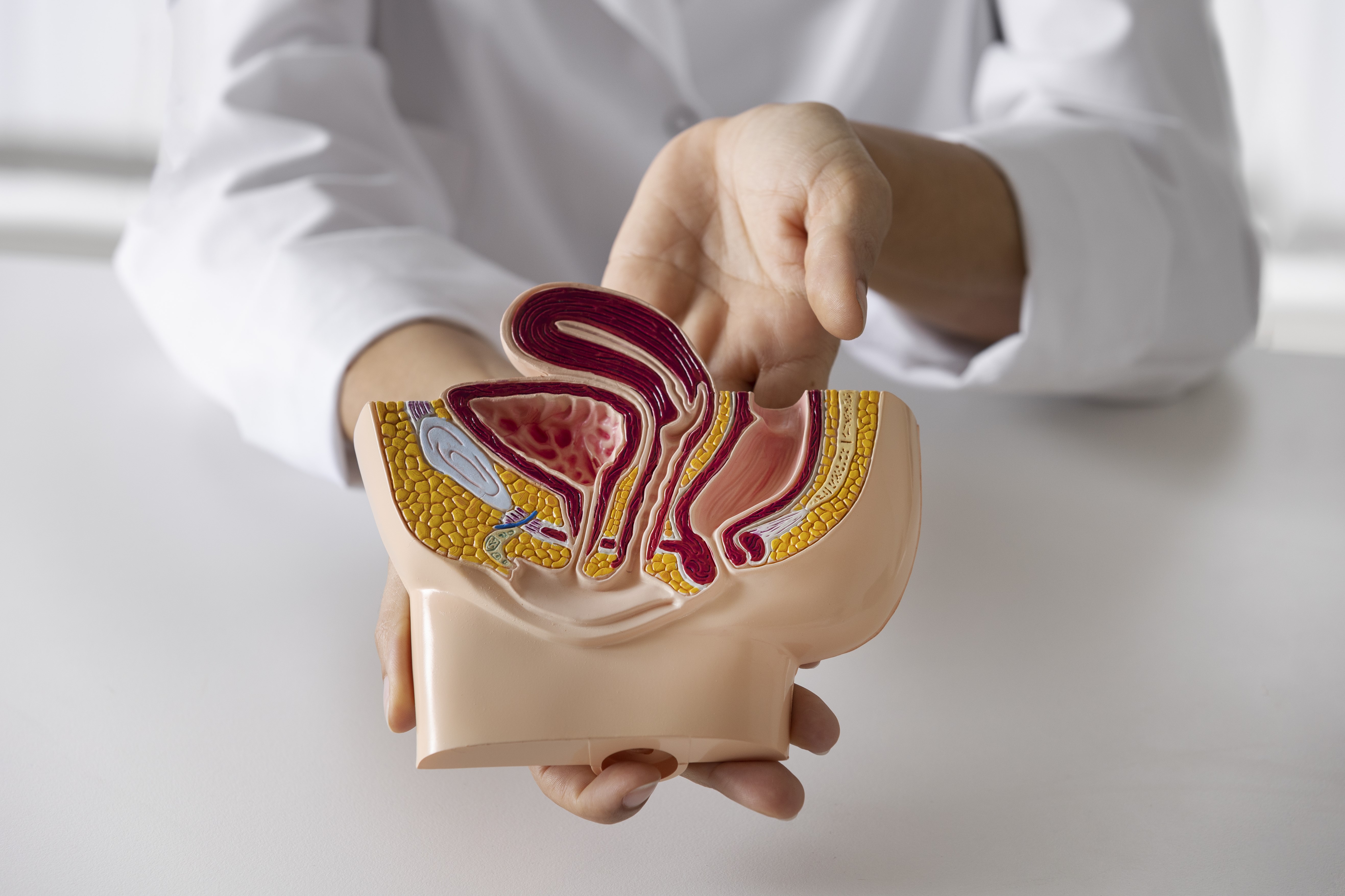 Urology surgical procedure: Urethral Calibration (Urethral Stricture Diagnosis and Treatment) - Intro